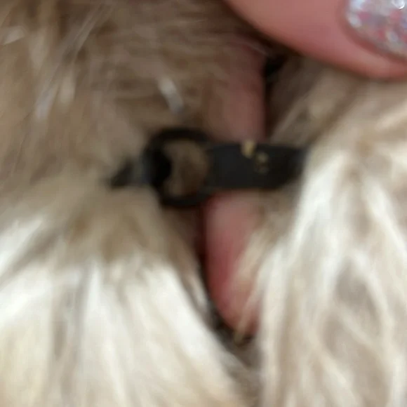 Vintage Mink Full Length Fur Coat with Fox Trim Rudolf Alexander Canada Majestic - Picture 5 of 7